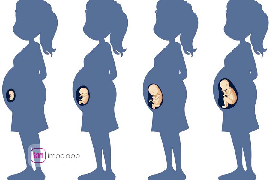 زوند افزایش وزن در بارداری